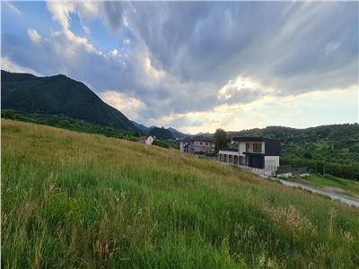 Teren 1508 mp + proiect autorizat pentru 2 case in Cisnadie-Sibiu